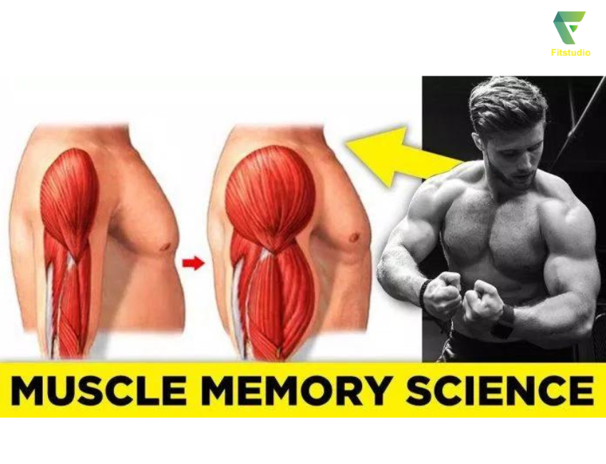 Muscle memory là gì?