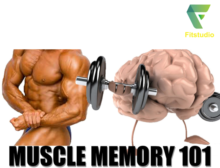 Tầm quan trọng của muscle memory