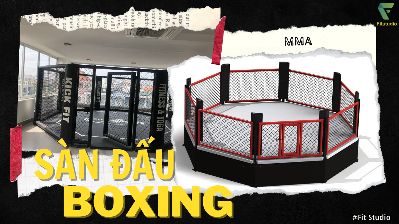 Boxing ring là gì? Sàn đấu boxing, lồng boxing (MMA) chất lượng