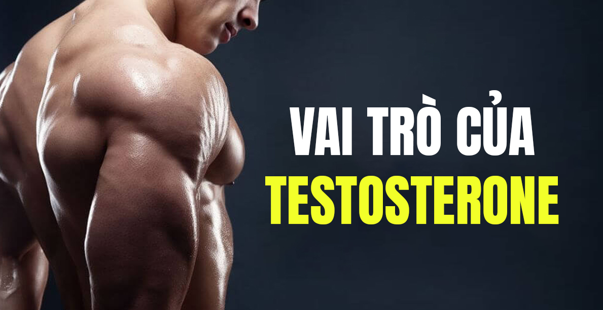 Vai trò của testosterone với sức khỏe nam giới