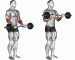 EZ Bar Curls. Exercising for bodybuilding Target muscles are marked in red. Initial and final steps. 3D illustration